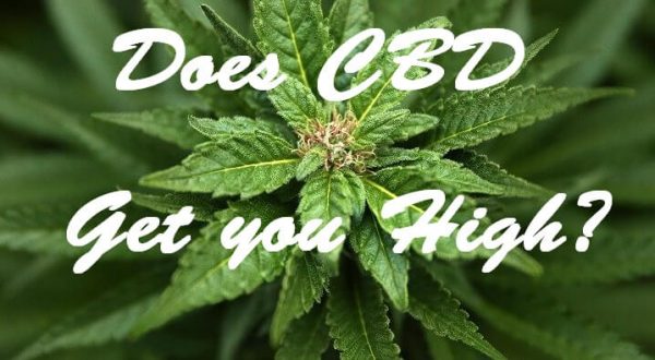 Does CBD Get you High